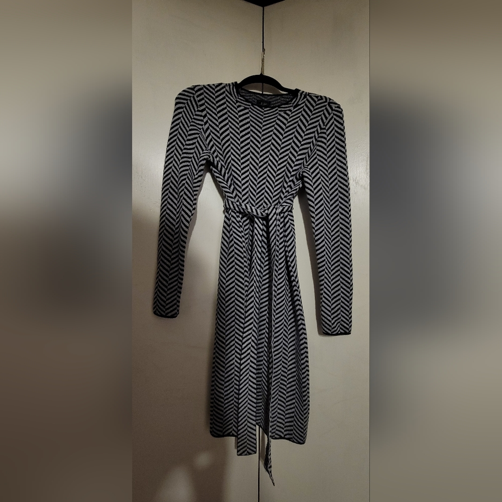 Ann Taylor  Long Sleeved Sweater Dress
